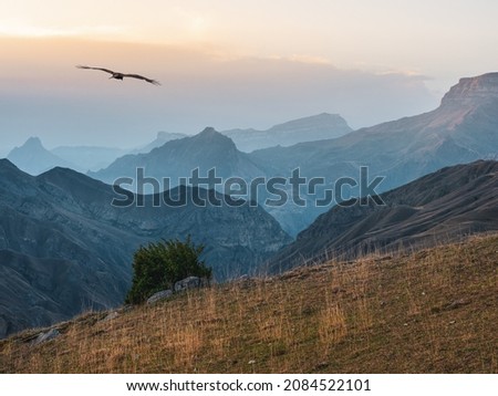 Selectiv focus. Evening mountains. Atmospheric landscape with silhouettes of mountains on background of pink dawn sky. Eagle flies over a mountain gorge. Sundown in faded tones.