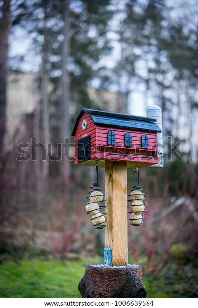 Selectiv Focus Red Bird Feeder House Stock Photo Edit Now 1006639564