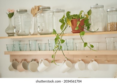 Selective Attention Is Paid To Flowers In Pots. A Set Of Empty Glass Jars. A White Jug. Beautiful Kitchen Interior, Decor.The Concept Of Proper Storage. High Quality Photo