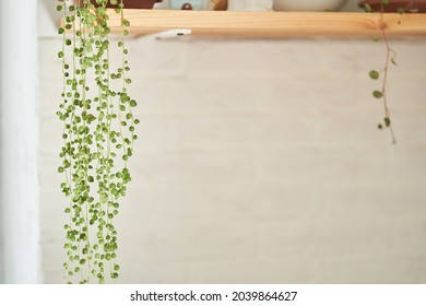 Selective Attention Is Paid To Flowers In Pots. The Flower Is On A Wooden Shelf. Beautiful Kitchen Interior, Decor. High Quality Photo