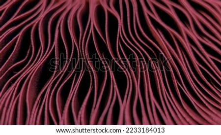 Selective focus, abstract linear background in color of the year 2023 Viva Magenta