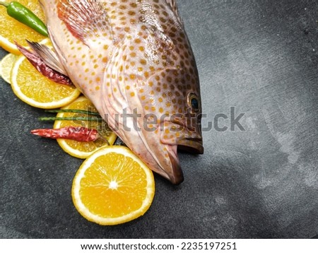 Selective focus of areolate grouper (Epinephelus areolatus),also known as the yellowspotted rockcod,areolate rockcod,green spotted rock cod, squaretail grouper or squaretail rockcod. Stock photo © 