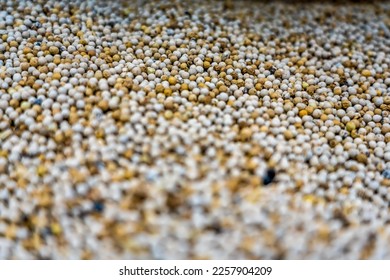 Selective focus. Background of aromatic white peper for preparing homemade food. Close up of Indian spices, cooking concept. West indian speciality. - Shutterstock ID 2257904209