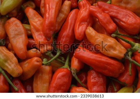 selective focus, background of pattern, texture and shape of red chilies, group of red chilies in street vegetable market.  selective focus