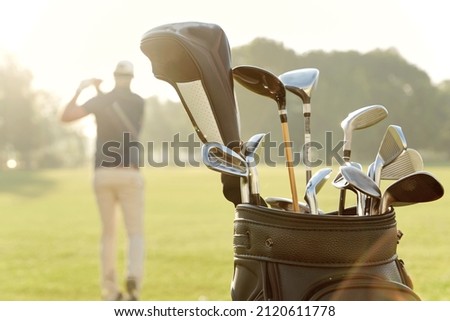 Selective focus of backpack with different putters with background of man playing golf on green lawn at sunny day. Concept of entertainment, recreation, leisure and hobby outdoors