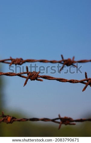 selective focus of barbed wire.human rights day.concept image.
	

