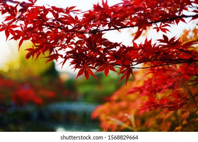 Kyoto Wallpaper Images Stock Photos Vectors Shutterstock