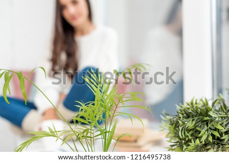 Similar – Woman makes wild flower pile at home