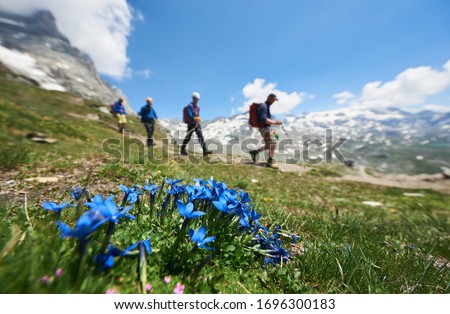 Similar – Image, Stock Photo Hiking in the Alps. Hiking trail entwined in green forests in the background the foothills of the Alps.