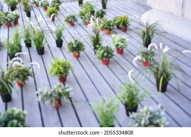 Selective Focus. Blur Background. Green Plant Outdoor. Wood Flour. Restaurant Interior Backdrop. No People