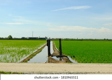 Selective Focus Of Broken Door Frame At Paddy Field In Sekinchan.