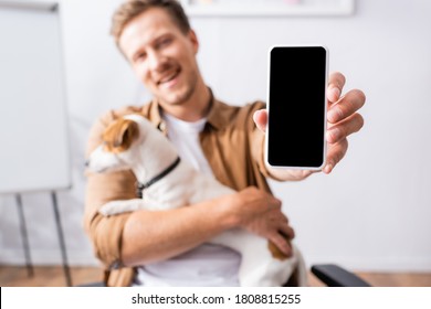 selective focus of businessman showing smartphone with blank screen while holding jack russell terrier dog