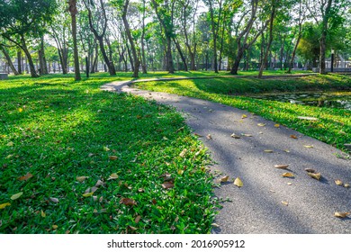 Selective focus of cement walk path or pedestrain in the middle of green outdoor park with soft sunlight. Concept of urban ifestyle, park, green, leisure, refresh, relax.