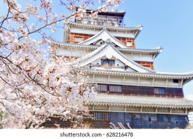 Selective Focus of Cherry Blossom Flowers with Hiroshima Castle in the Background