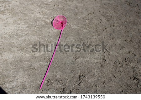 Image, Stock Photo stilt barrel Animal