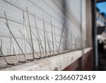 Selective focus and close up detail of Gutter Spikes for Birds, protect bird to nest and roost on the windows. 