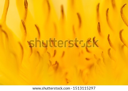 Similar – Image, Stock Photo honey yellow Wellness Life