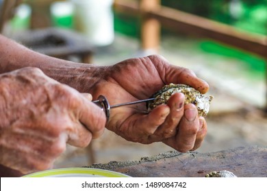 Selective Focus Closeup Of A Man's Large Strong Hands Using An Oyster Knife To Demonstrate How To Shuck A Rappahannock River Oyster