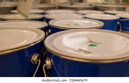 Selective Focus, Close-up Of Paint Cans In The Store