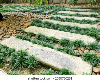 Selective Focus Of A Concrete Slap Walkway In A Japanese Garden