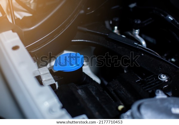 Selective focus to cover
of water tank wiper on car engine room. Service and maintenance of
cars or vehicles.