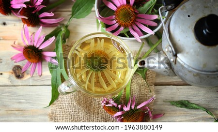 Selective focus. Echinacea tea in a cup. Echinacea flowers. Teapot and a cup of tea.