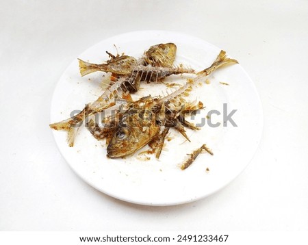 Selective focus Fish bones on white plate. Bones and fish head isolated on white background. Remains of fried fish. Food scraps.