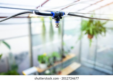 Selective Focus To Fog Nozzles In The Nursery.