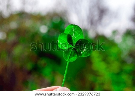 Similar – Image, Stock Photo lucky clover Leaf Positive