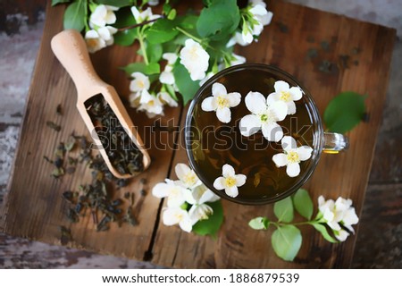 Similar – Image, Stock Photo leaf of a jasmine Nature