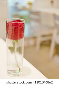 Selective Focus Of Fresh Red Rose In A Tall Glass With A Blurry Creamy White Dinning Table Background - Romatic Special Meal / Dinner / Eating Out Concept