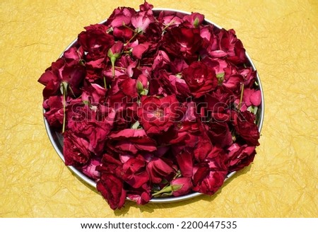 Selective focus of Fresh red rose flowers in basket. Top view of Rose fresh flowers on white background with blank space to write fonts text wishes. Rose background images