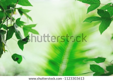 Similar – Image, Stock Photo flytrap III Plant