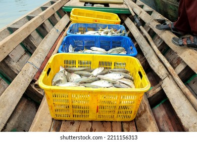 Selective Focus, Group Of Mackerel In Basket On Fishing Boat For Sale In Market