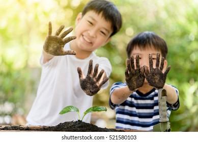 Selective focus at hand of two young Thai boy that dirty from soil after plant little seedling on black soil. Earth day and family concept