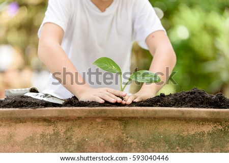 Selective focus at hand, Young Thai boy planting little seedling on the black soil in the garden. Earthday concept.