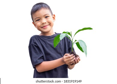 Selective Focus Of Hands Asian Child Boy Holding A Little Green Plant With Soil. Growing Tree. Spring Season. Save Environment. Earth Day. World Day. On White Background Isolated.