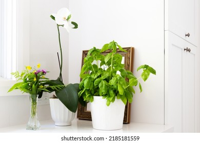 Selective Focus Horizontal Still Life Of Basil Plant, Orchid And Small Bouquet Of Wildflowers On White Kitchen Background With Gold-framed Mirror