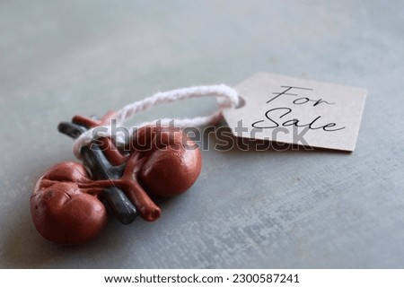 Selective focus image of human kidney with tag FOR SALE. Organ trafficking, organ transplant and illegal trade in human organ concept