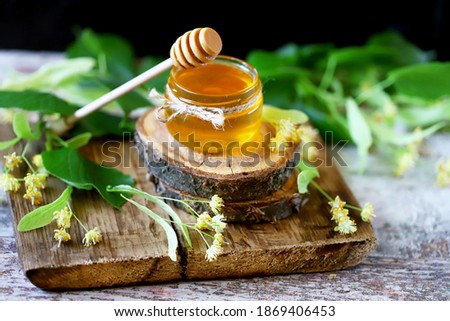 Foto Bild honeybee Natur Pflanze