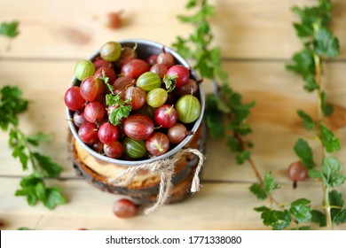 Selective focus. Macro. Gooseberries in a bowl on a wooden surface. Gooseberry leaves and branches. Harvest gooseberries. Rustic style.