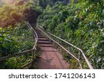 Selective focus. magical trails through a mountain forest in a tourist place Yana Rocks this is an old stone formation with caves inside. Karnataka. India. Indian tourism concept