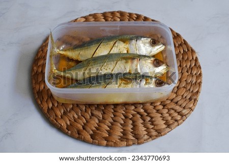 selective focus of marinated fish in a plastic comtainer against white background