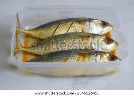 selective focus of marinated fish in a plastic comtainer against white background