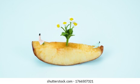 Selective Focus, Miniature Model, Men And Women Wearing Pastel Pink And Green Dress Sitting On The Apple Sliced See Saw With Daisy Flowers In The Middle On Light Green Background, Vacation Concept.