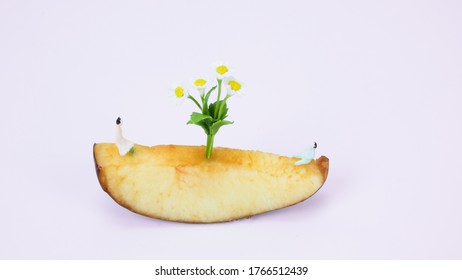 Selective Focus, Miniature Model, Men And Women Wearing Pastel Pink And Green Dress Sitting On The Apple Sliced See Saw With Daisy Flowers In The Middle On Light Purple Background, Vacation Concept.