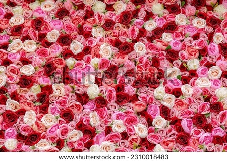 Selective focus of multi colour of artificial roses flowers backdrop, Mixed colourful pattern texture of flora, Can be used as background for display or montage products, Abstract nature background.