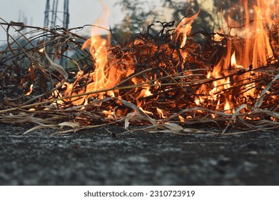 selective focus, narrow depth of field, fire in the process of burning, red, orange and yellow, Heat energy tightly stacked, heat energy at fuel point. - Powered by Shutterstock