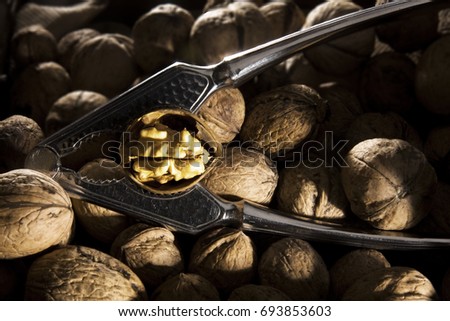 Selective focus Nutcraker and Walnut in half opened shell in middle of other walnuts.  Concept of rustic food. Concept of healthy eating