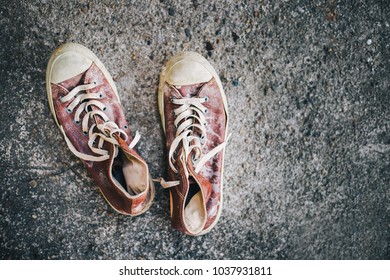 selective focus old sneaker  with copy space for text.stylish and fashion accessories women wear shoes concept.vintage tone